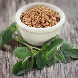 Fenugreek seeds