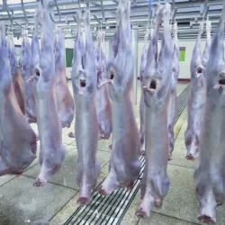 Chilled Mutton